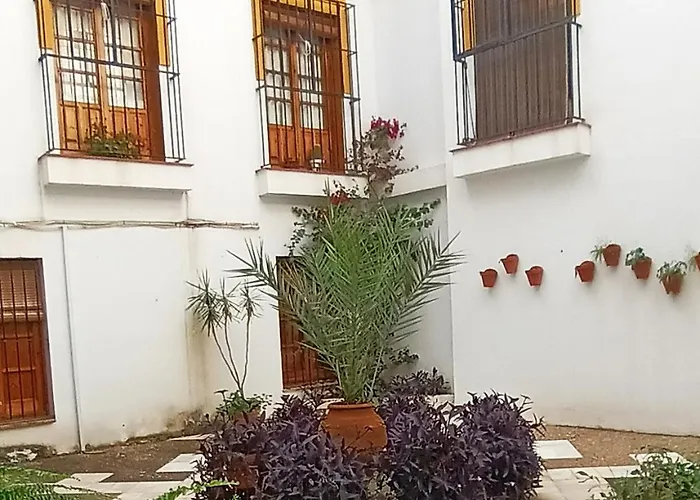 Historia Y Tradicion - Sevilla Desde Dentro.