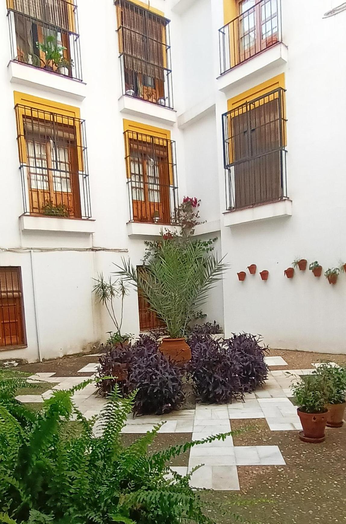 Historia Y Tradicion - Desde Dentro. * Sevilla